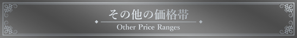 「その他の価格帯」見出しデザイン