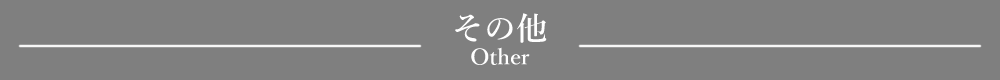 「その他」見出しデザイン